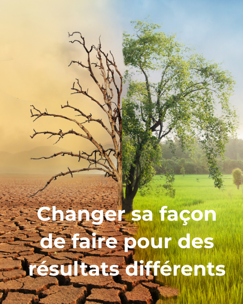 mémoires familiales : changer sa façon de faire pour obtenir des résultats différents