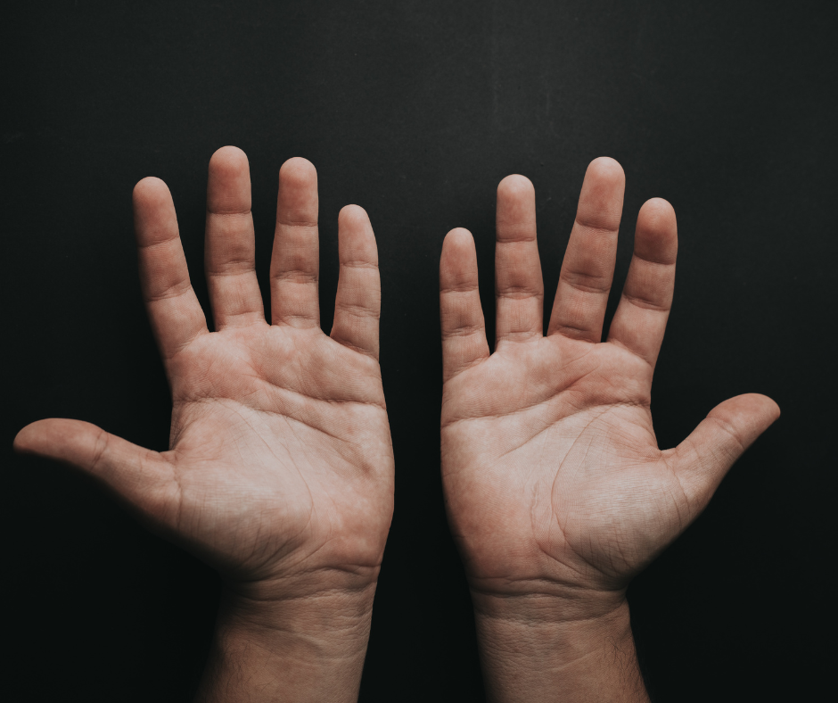 chirologie pour bilan de compétences ou recruteur