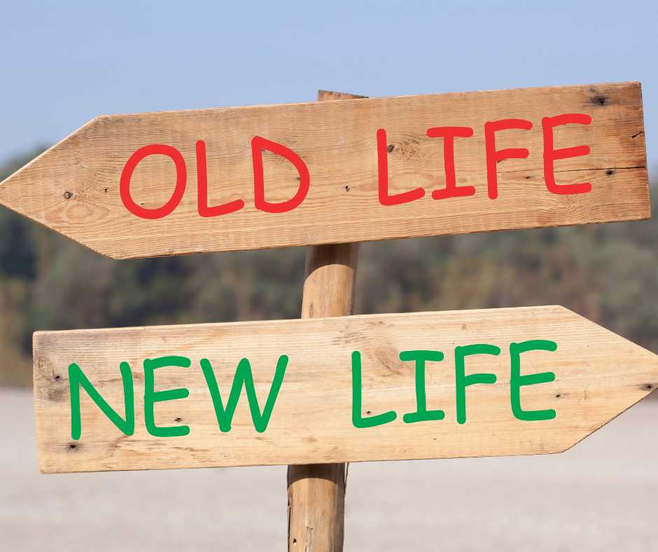 orientation scolaire réorientation professionnelle mémoires familiales