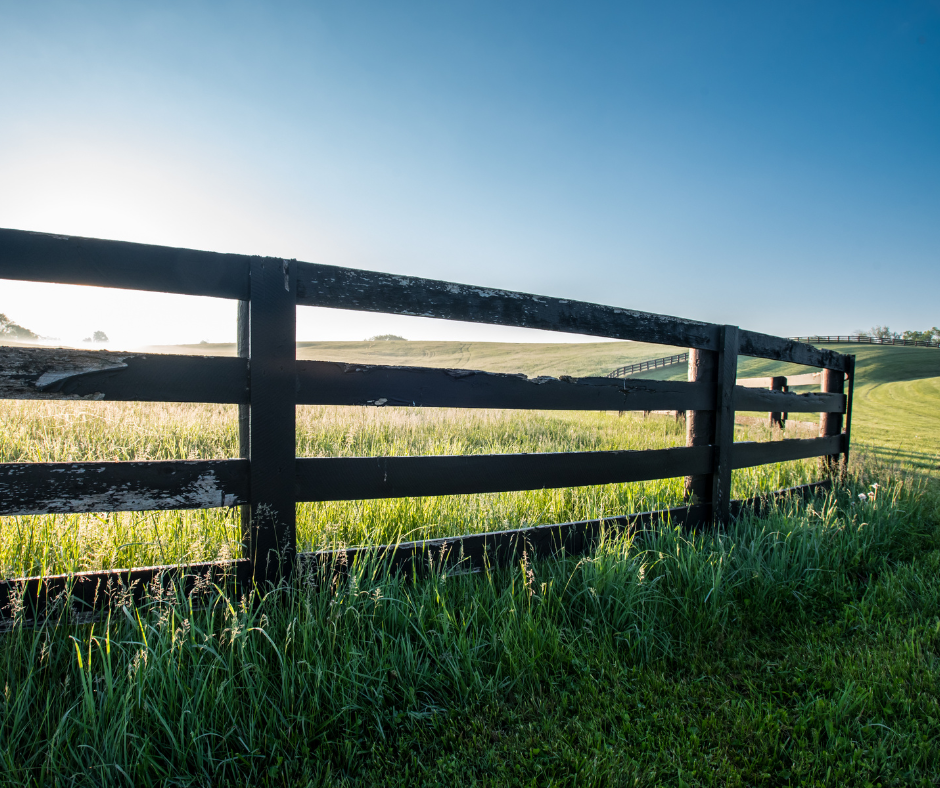 une consultation avec un cadre des limites et sécurisante