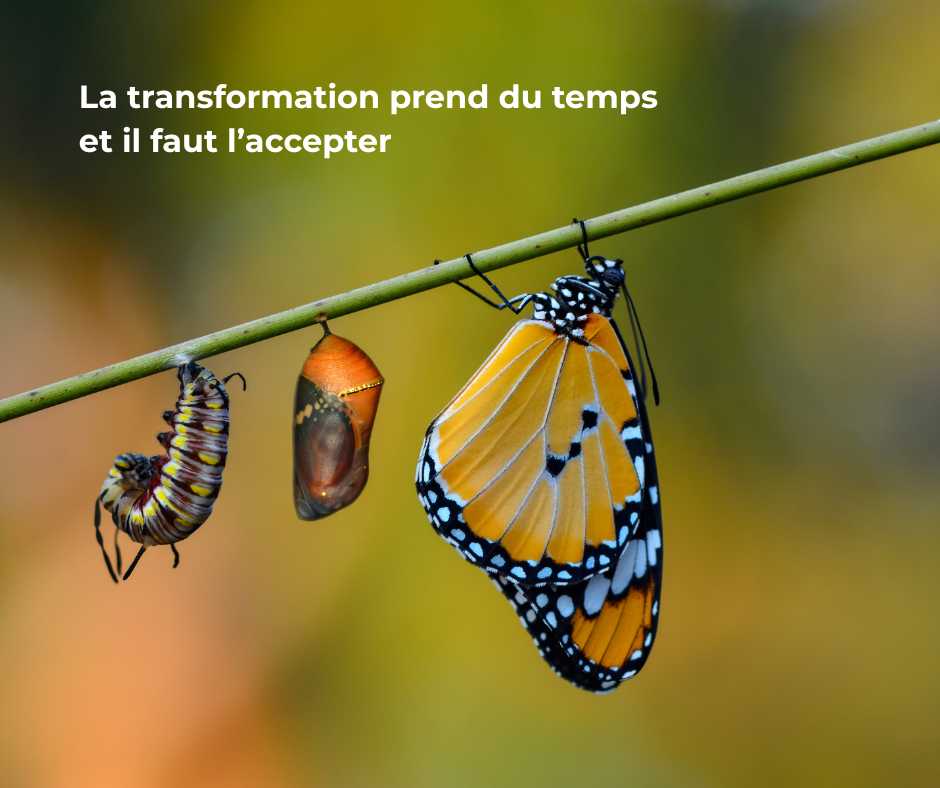 savoir et ne pas agir coaching de vie aide à la décision