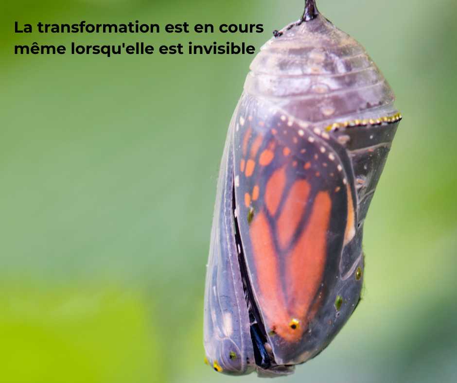 la transformation est en cours même lorsqu'elle est invisible coaching guidances